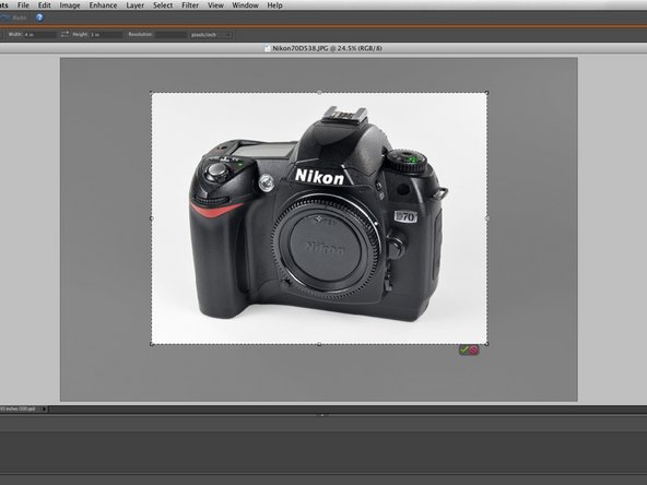 How to Post-Process Pictures, Cropping: step 7, image 3 of 3
