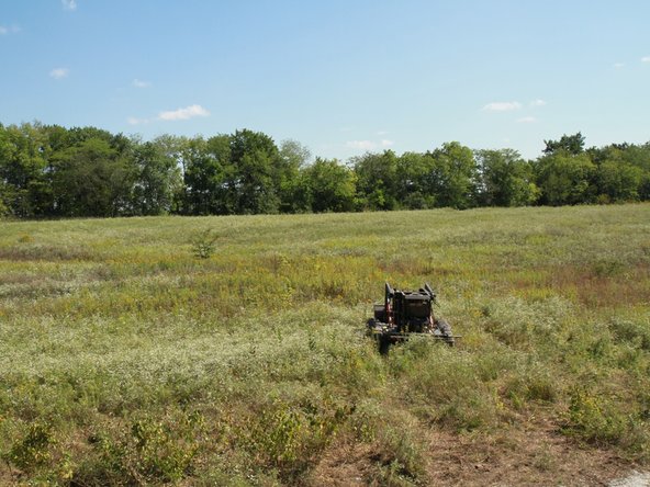 Cut down vegetation in a wide area around your building site, as well. 20' beyond where the gravel will be should be adequate. You will need room for the brick press and rollers, and to stage other materials, too. You will also need room for people to move around and work.