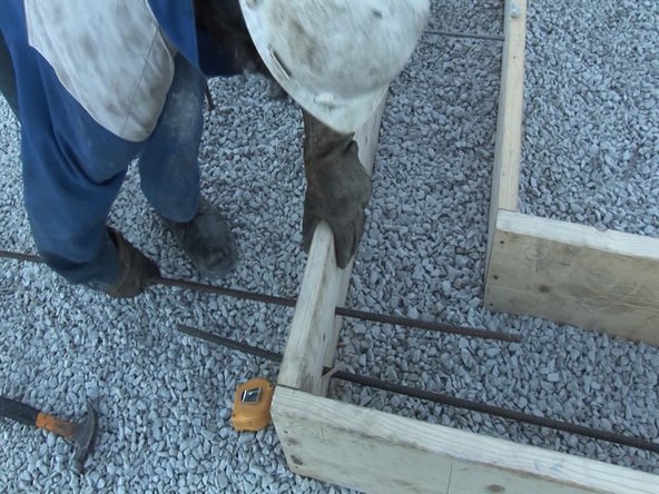 Place rebar into foundation formwork. Leave the rebar sticking out through the holes you made so that you can add on to your Microhouse in the future.