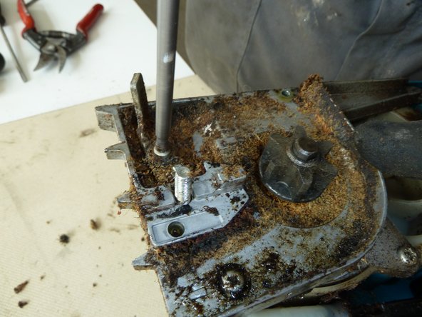 Chainsaw: step 5, image 1 of 3