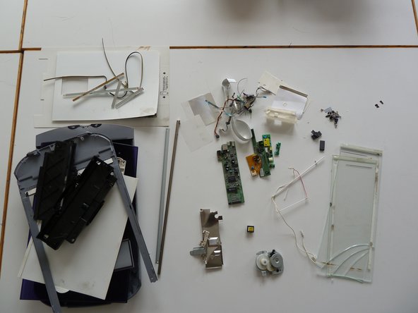 Scanner: step 21, image 1 of 1