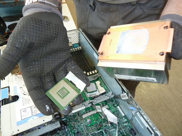 Server: step 12, image 1 of 2