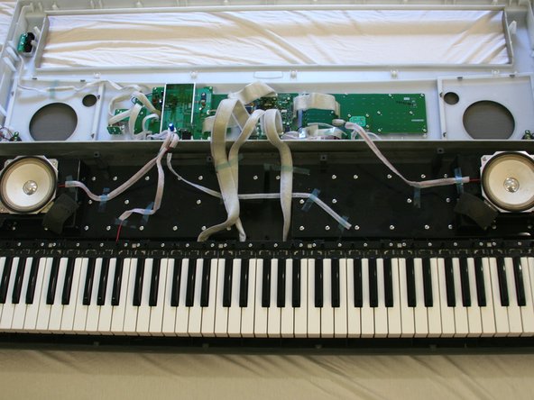 Yamaha YPG-225 Keys Replacement: step 8, image 2 of 2